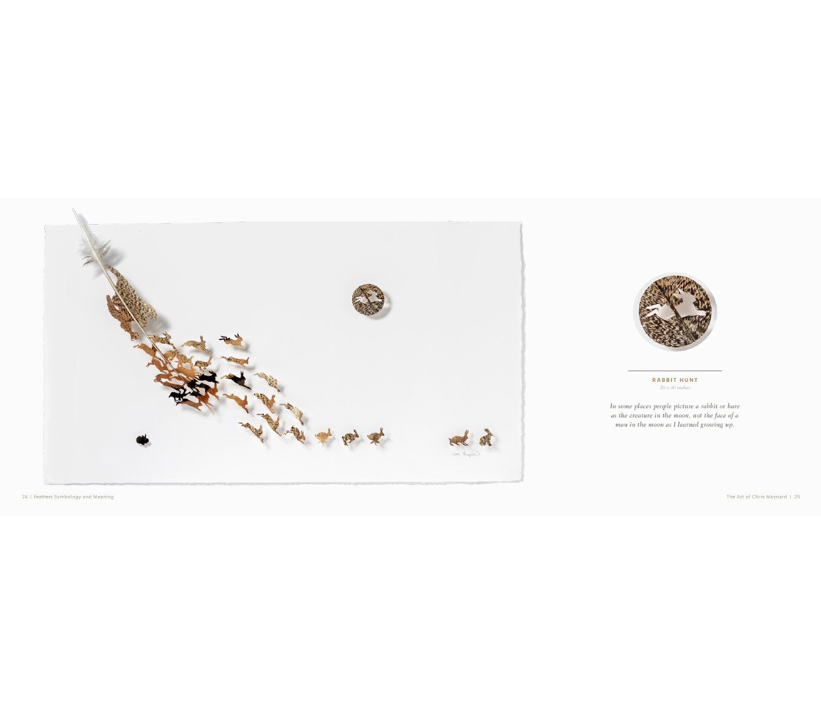 Feathers: Symbology and Meaning book - Chris Maynard